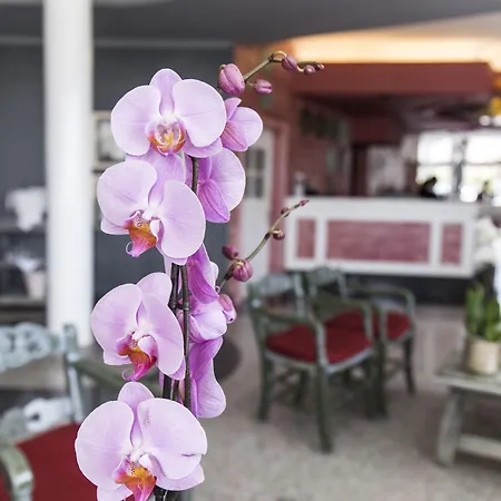 Adrian Colon Guanahani Adultos Only Отель 4*